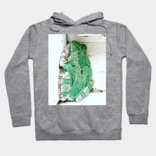 Sleeping Tree Frog Hoodie